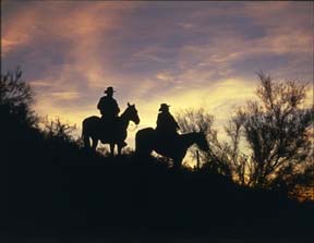 Big South Fork Guided Trail Rides