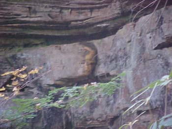 big south fork falls