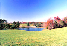 Big South Fork horse stables