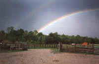 big south fork Horse rentals
