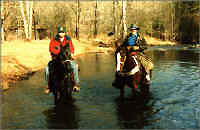 big south fork Horse camping